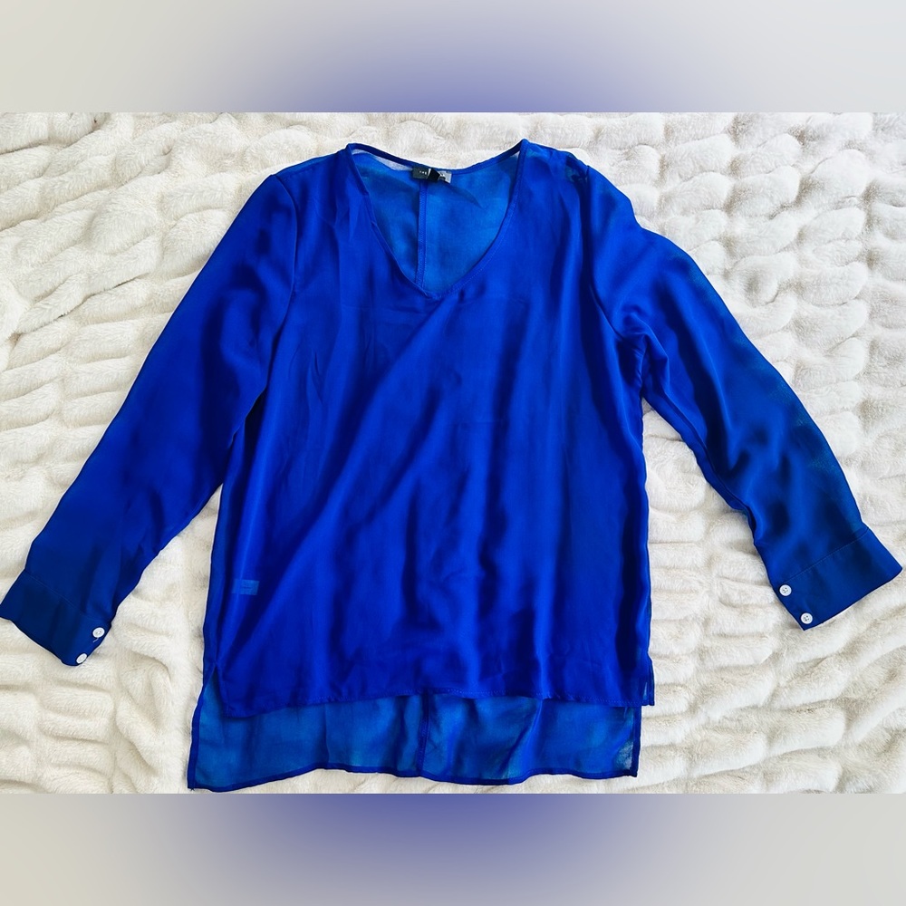 The Limited Blue Sheer Blouse